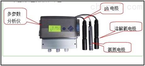 在线多参数溶解氧、ph、氨氮分析仪 SCM 600