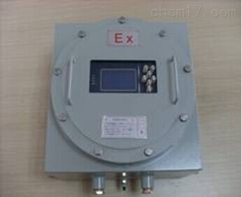 防爆高量程氧气分析仪 JJH-304